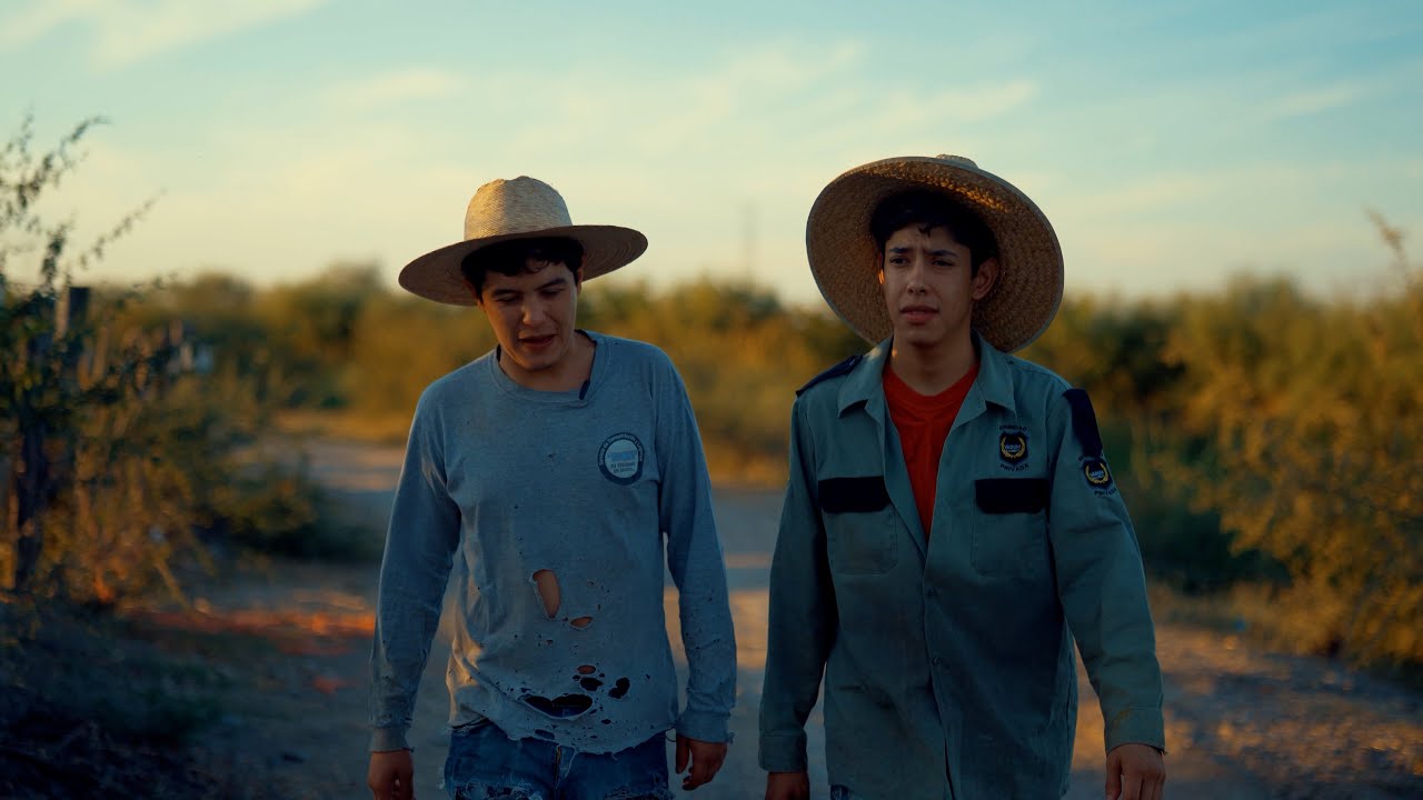 Altas y Bajas - Efecto Elegante (Video Oficial)