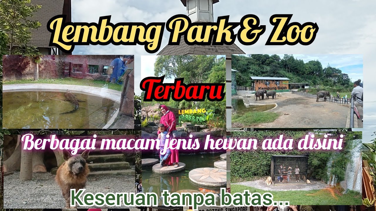 Lembang Park and Zoo Terbaru || Berbagai macam jenis hewan ada disini || Keseruan tanpa batas