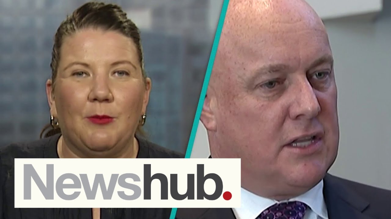 Commentator Brigitte Morten reacts to Newshub Reid Research poll | Newshub
