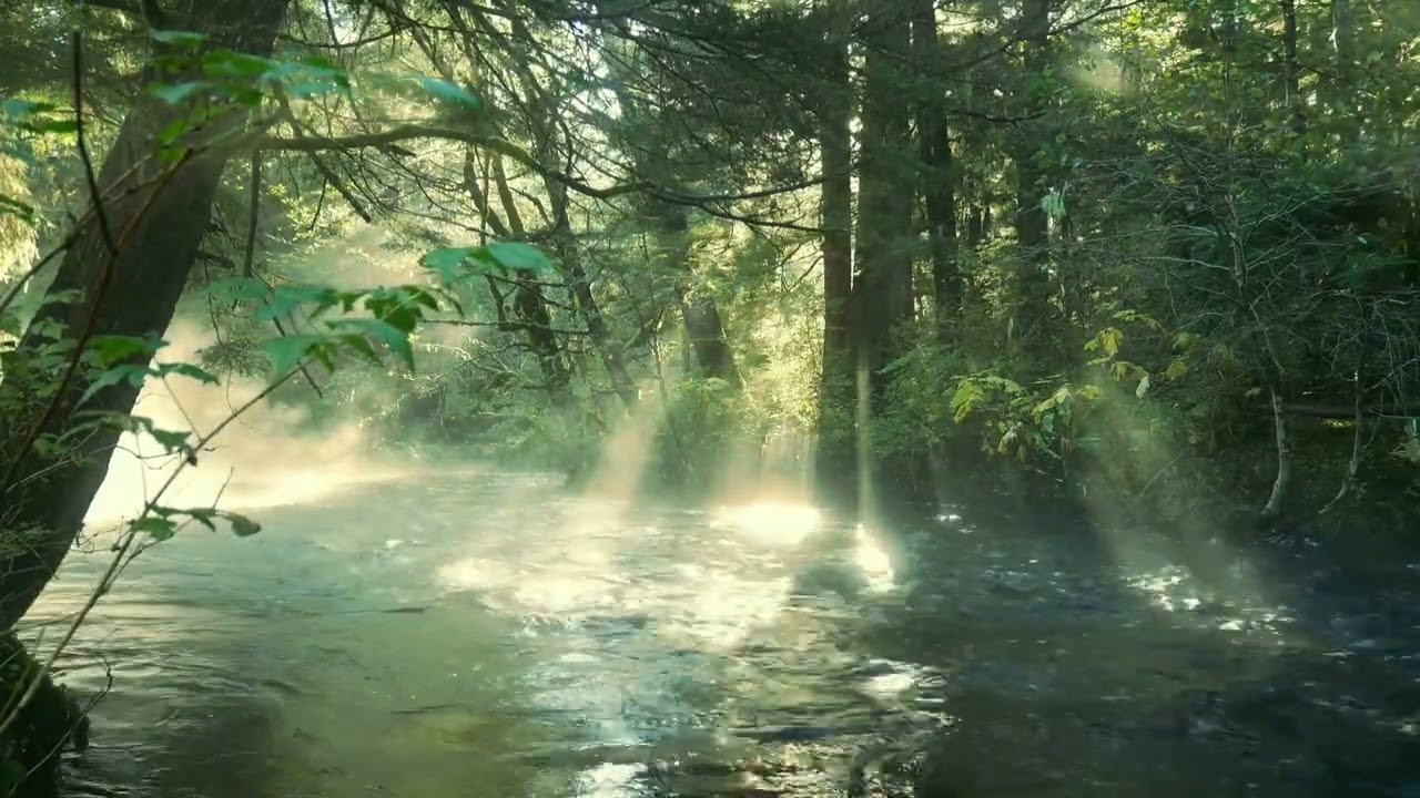 Beautiful Nature Scenery | Relaxing Long Nature Video #viral #1millionviews 