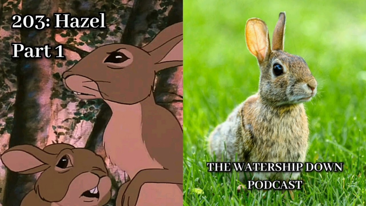 203: Hazel - Part 1