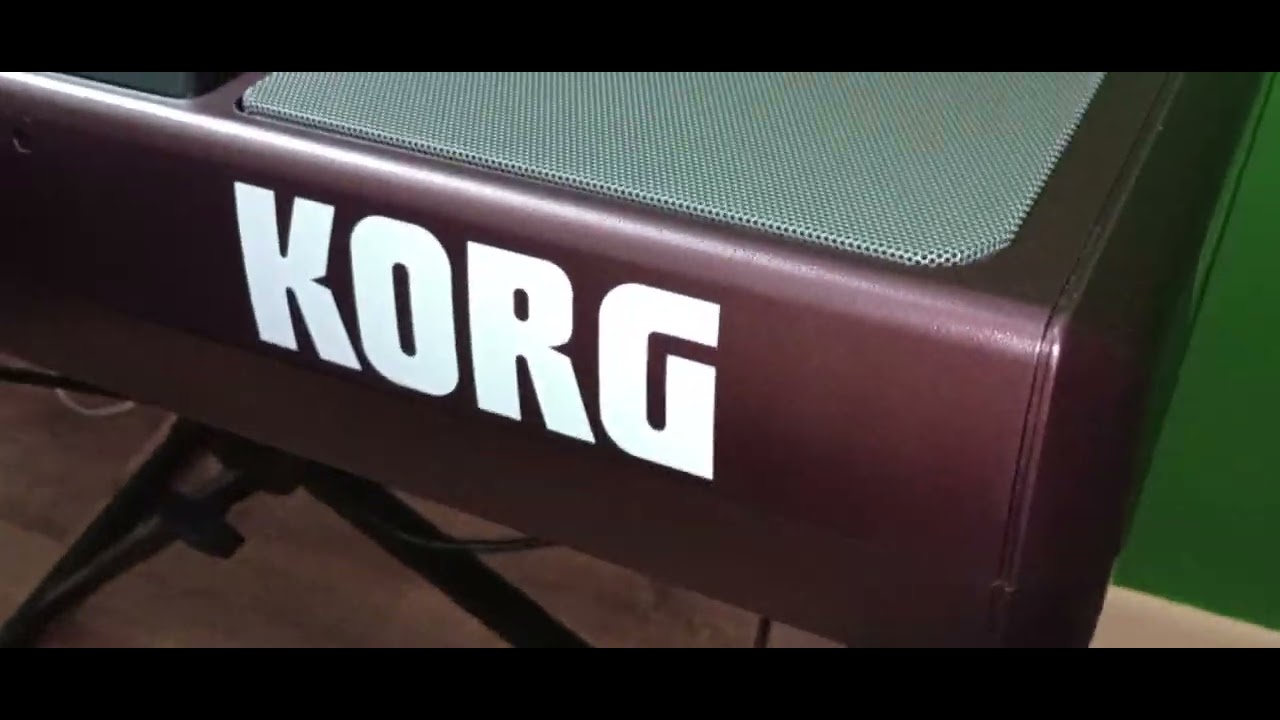 Korg pa 1000 ala venta ya con ritmos y samples. 2398106889