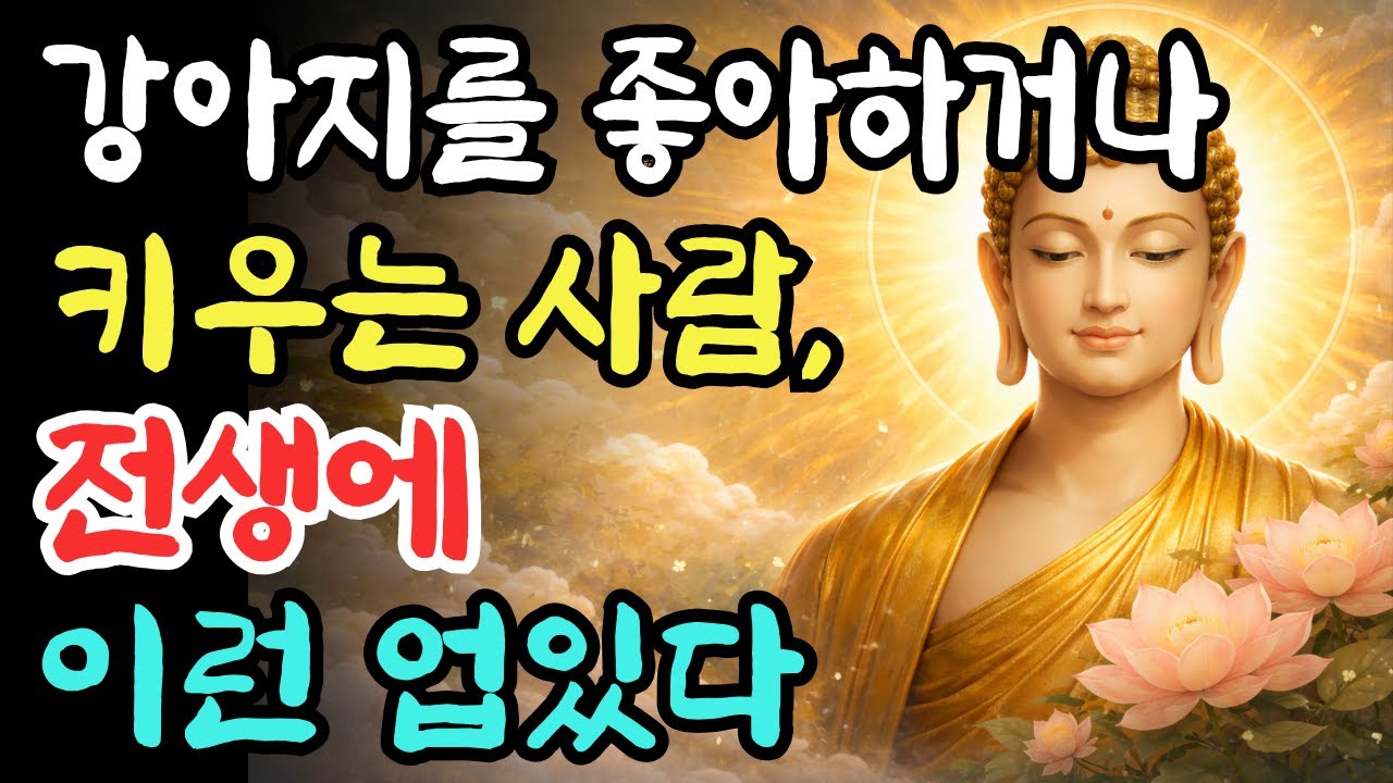 강아지를 좋아하거나 키우는 사람, 전생에 이런 업있다