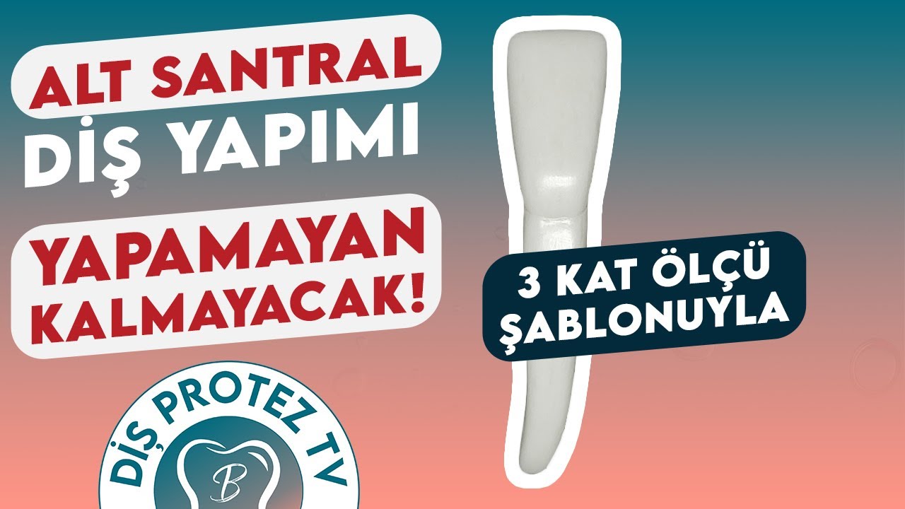 Alt Santral Diş Yapımı | Mandibular Central Incisor | Diş Morfolojisi
