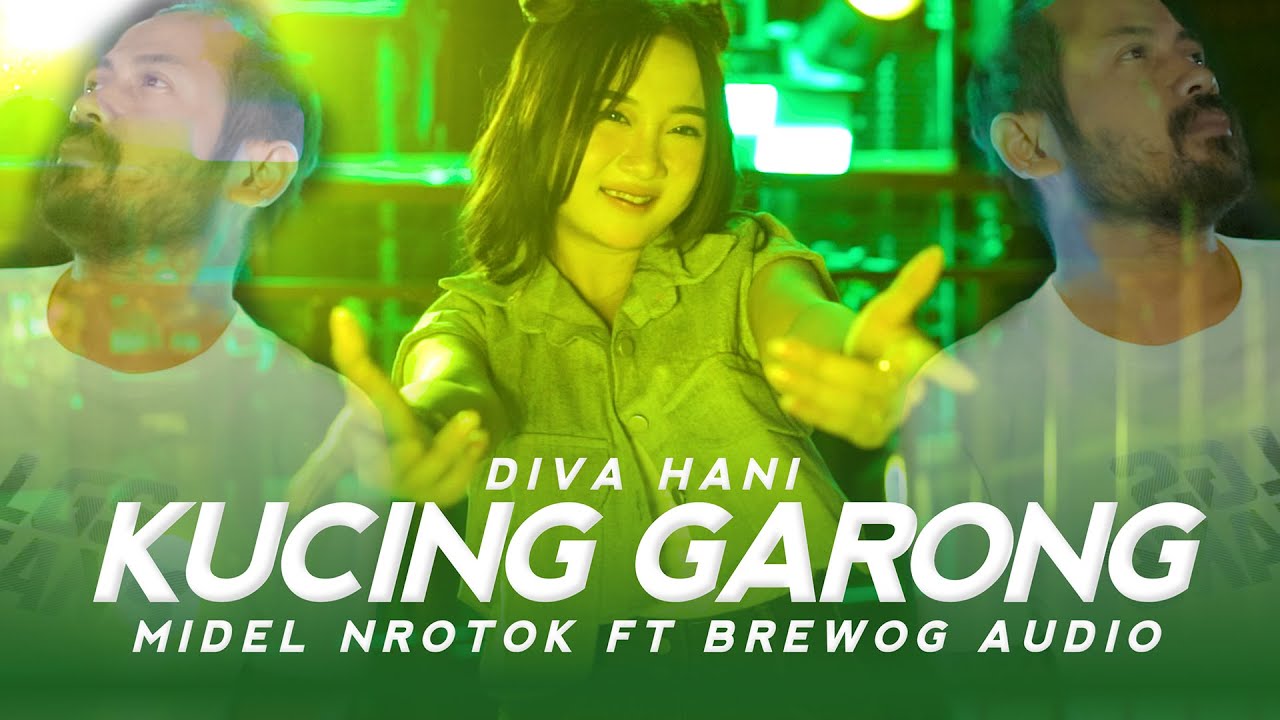 DIVA HANI - DJ KUCING GARONG MIDDLE NROTOK X BREWOG AUDIO I Barakat Music