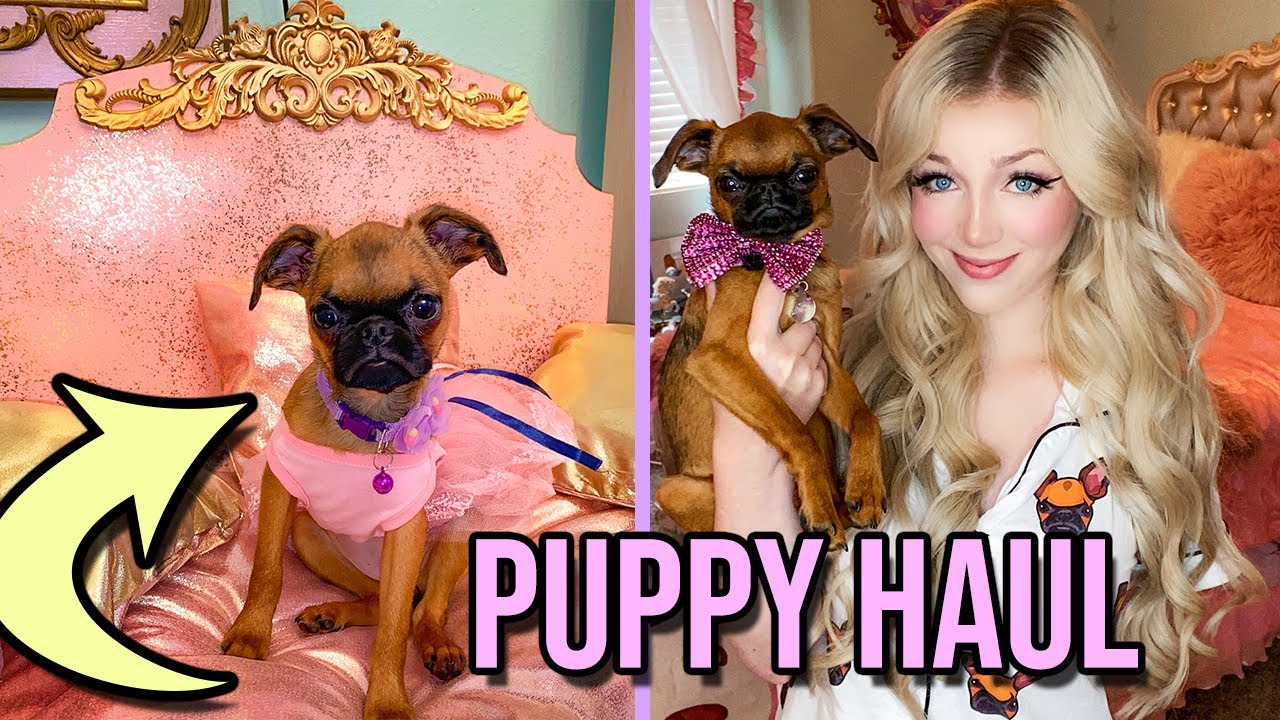 My New Puppy Haul! Lyssy Noel