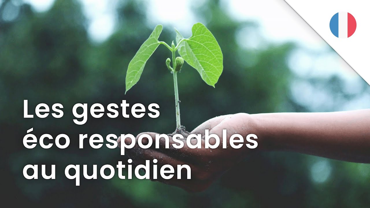 Les gestes &eacute;co responsables au quotidien (Fran&ccedil;ais) | VIVE