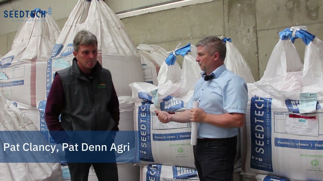 Belfry Hybrid Winter Barley | Pat Denn Agriculture Limited