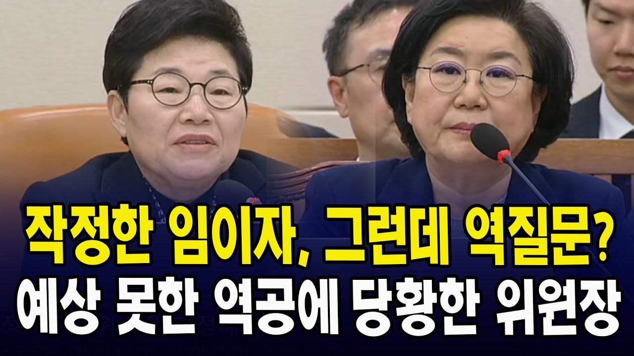 작정한 임이자, 그런데 역질문?.. 예상 못한 역공에 당황한 위원장