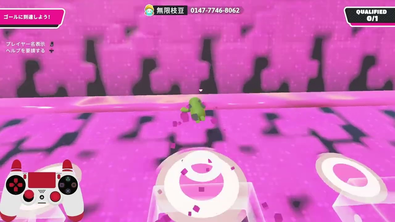 トビウオ2026 / 0147-7746-8062