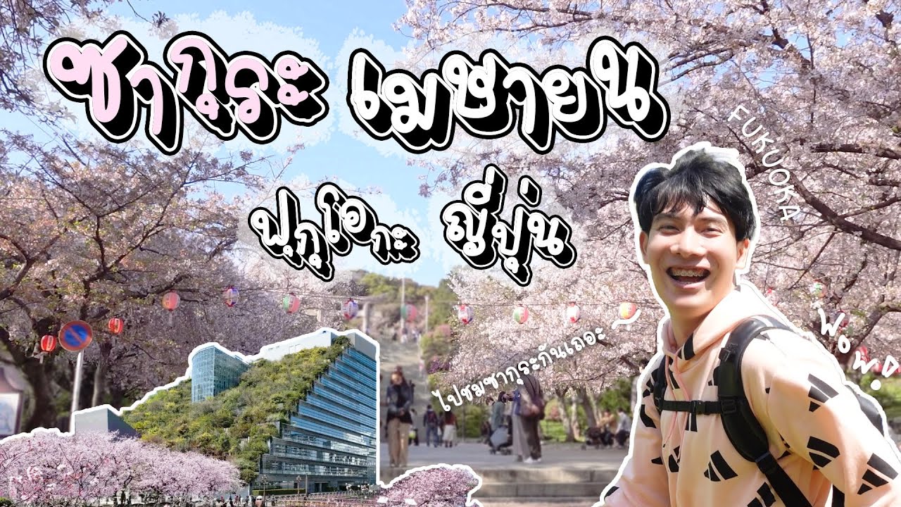 ชมซากุระ Fukuoka Japan Sakura April 2023 | Nishi Park , Maizuru & Ohori Park , Central Park