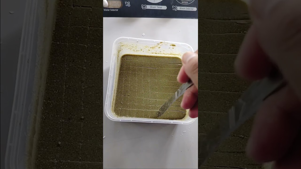 DIY GEL FOOD FOR OUR AQUARIUM FISH 😁