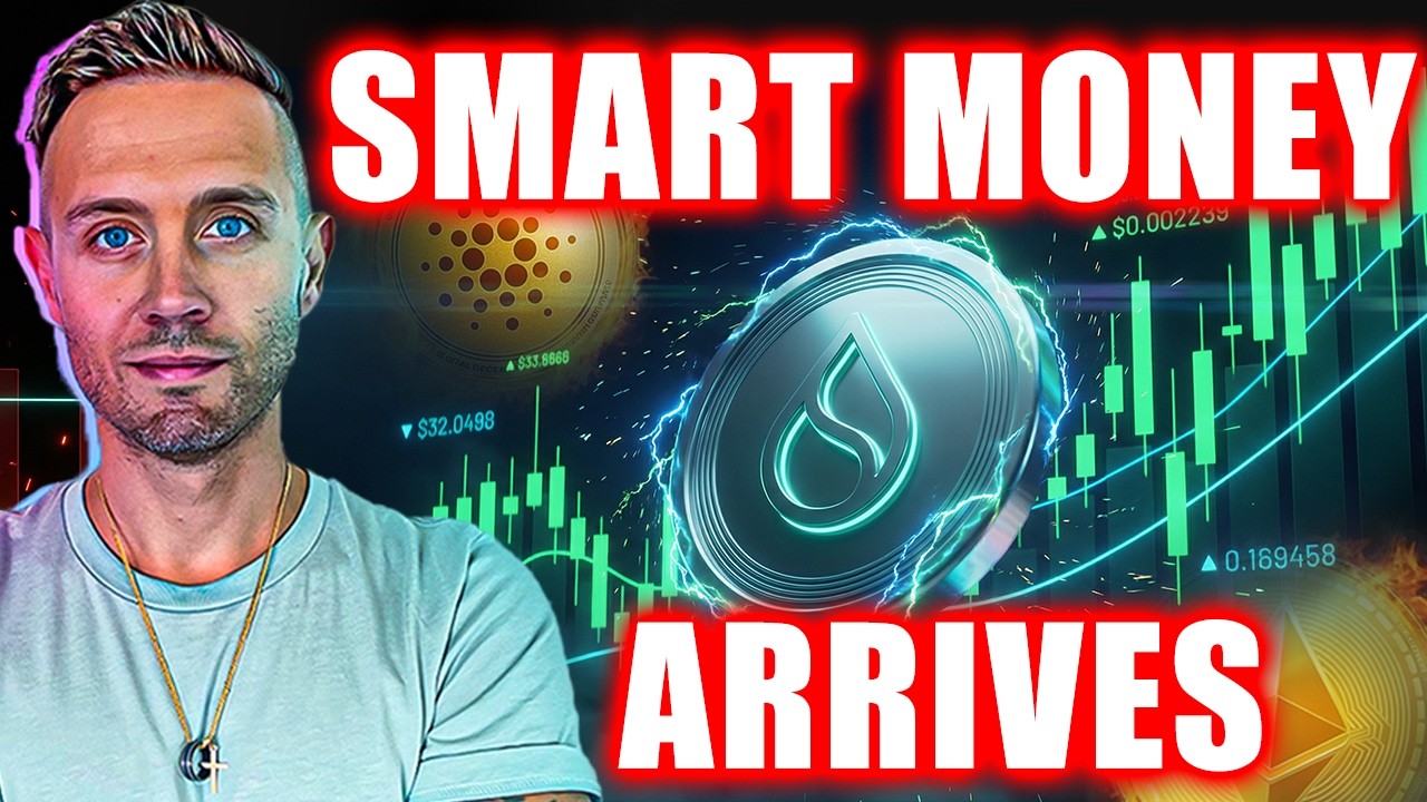 Banks Want In On ALTCOINS! SUI, Institutions & The Biggest Setup IN YEARS