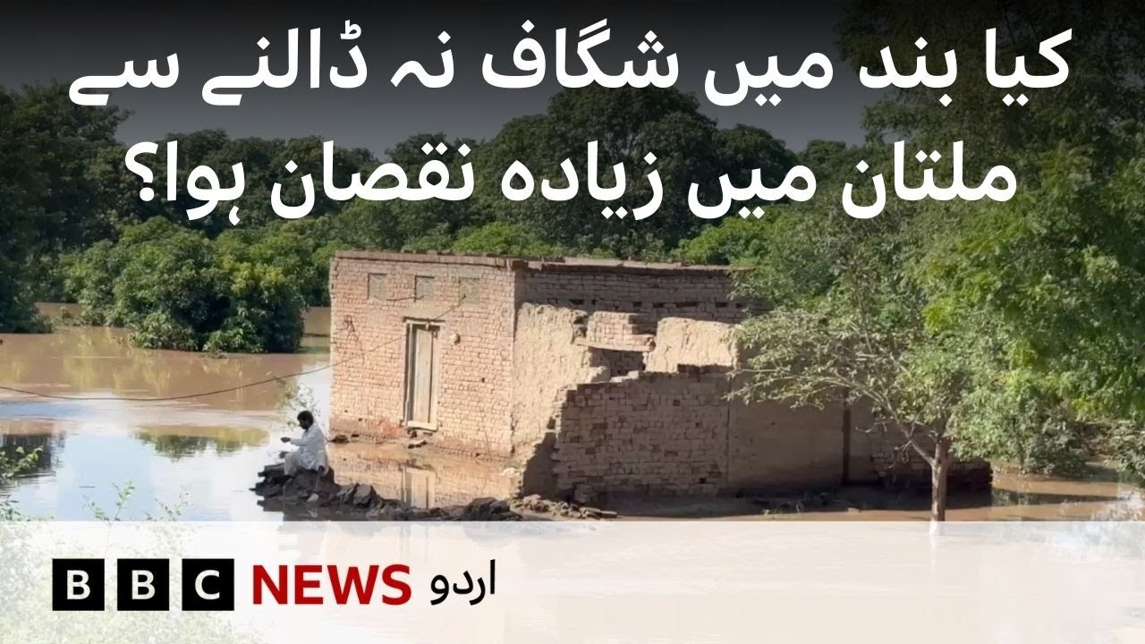 Multan Floods: Did not breaching Sher Shah dyke cause more destruction? - BBC URDU