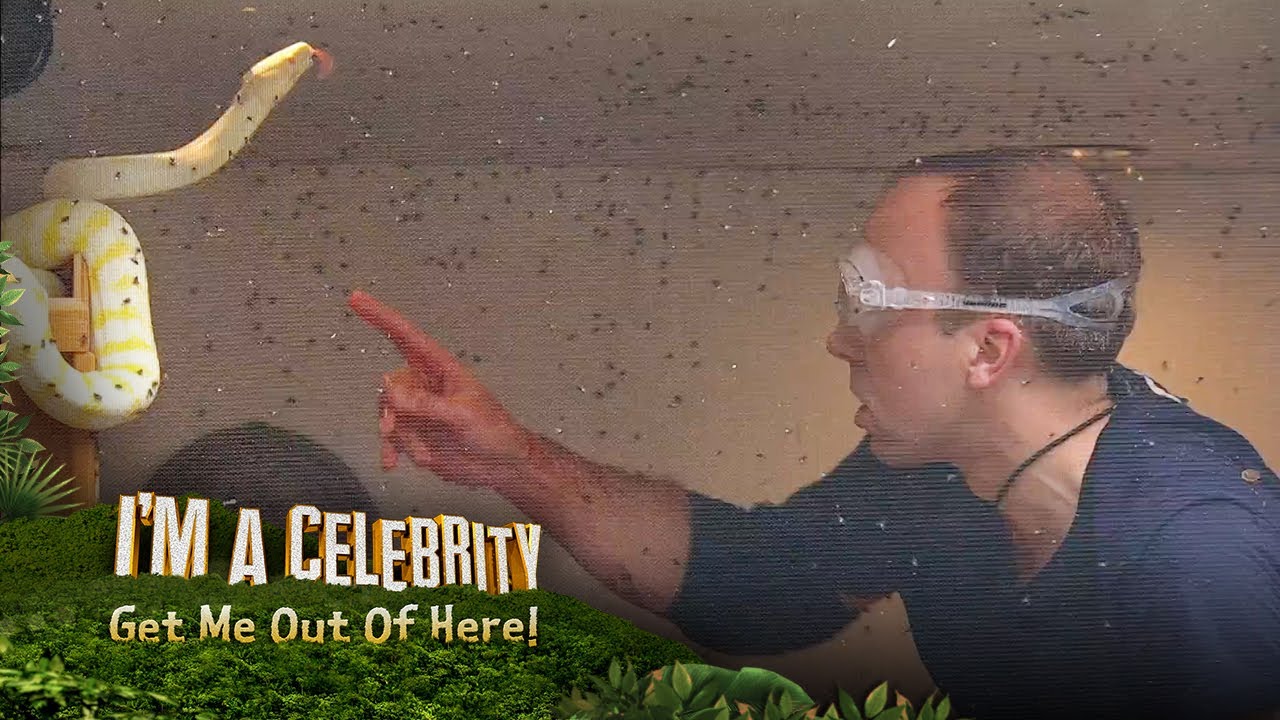 Matt takes on the House Of Horrors 🪰🐍 | I'm A Celebrity... Get Me Out Of Here!