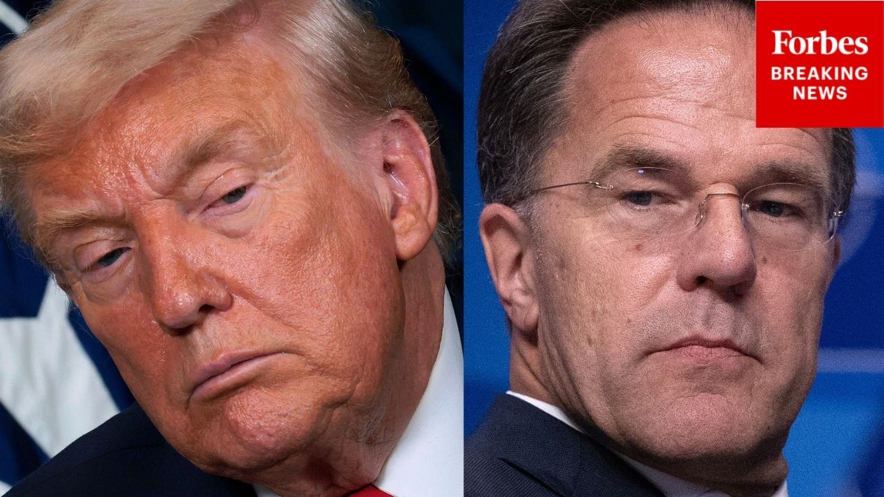 Глава НАТО Рютте ответил на вопросы о сообщениях о том, что Трамп рассматривает возможность вывод...