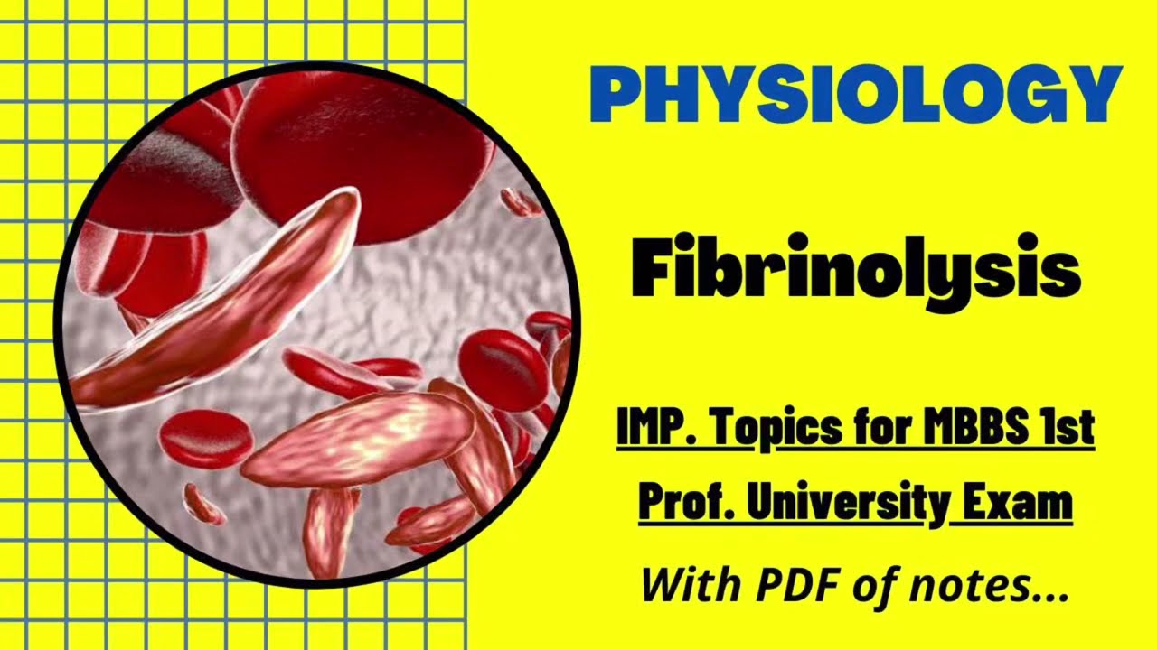 Fibrinolysis | Blood | Physiology