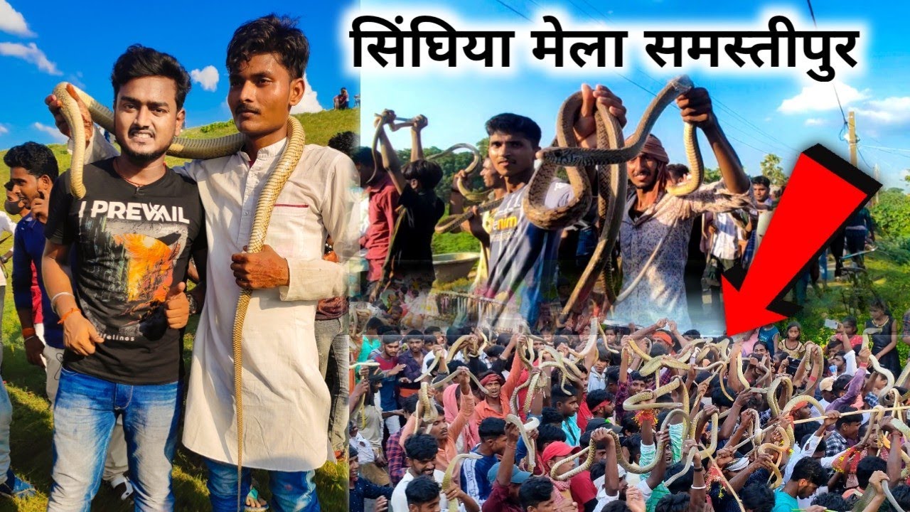 हजारो सांपो को गर्दन पर लेकर घूमते है ये लोग 😲Samastipur Snake Mela|नागपंचमी मेला|Shinghiya GhatMela