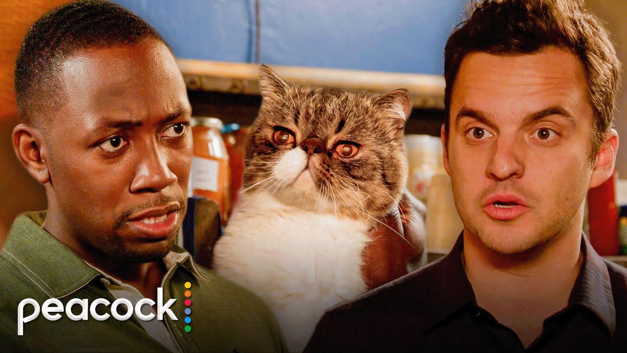 New Girl | Winston Plots Revenge Against His Unfaithful Girlfriend's Cat