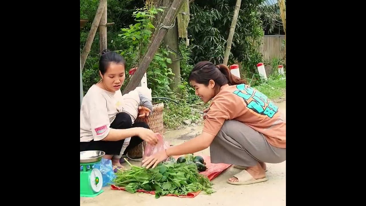 Single Mom Raises child Alone, Harvest Forests Fruits to sell cook best food, Fishing Skills