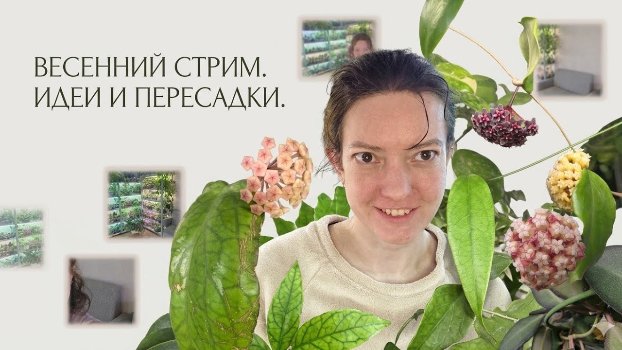Белка Сид, Свежие НОВОСТИ и ЧЕРЕНКИ в Прямом Эфире!