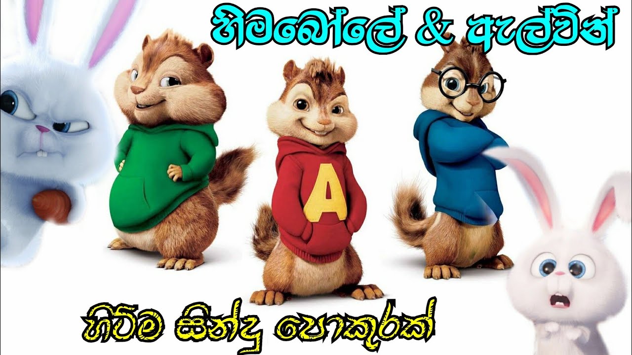 හිමබෝලේ & ඇල්වින් හිට්ම සින්දු පොකුරක් එක දිගට | Himabole & Alvin sinhala song collection video