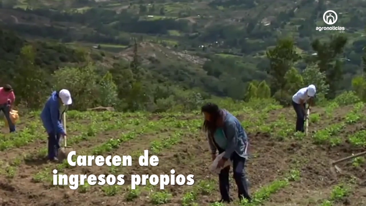 MUJERES ECONOMIA RURAL