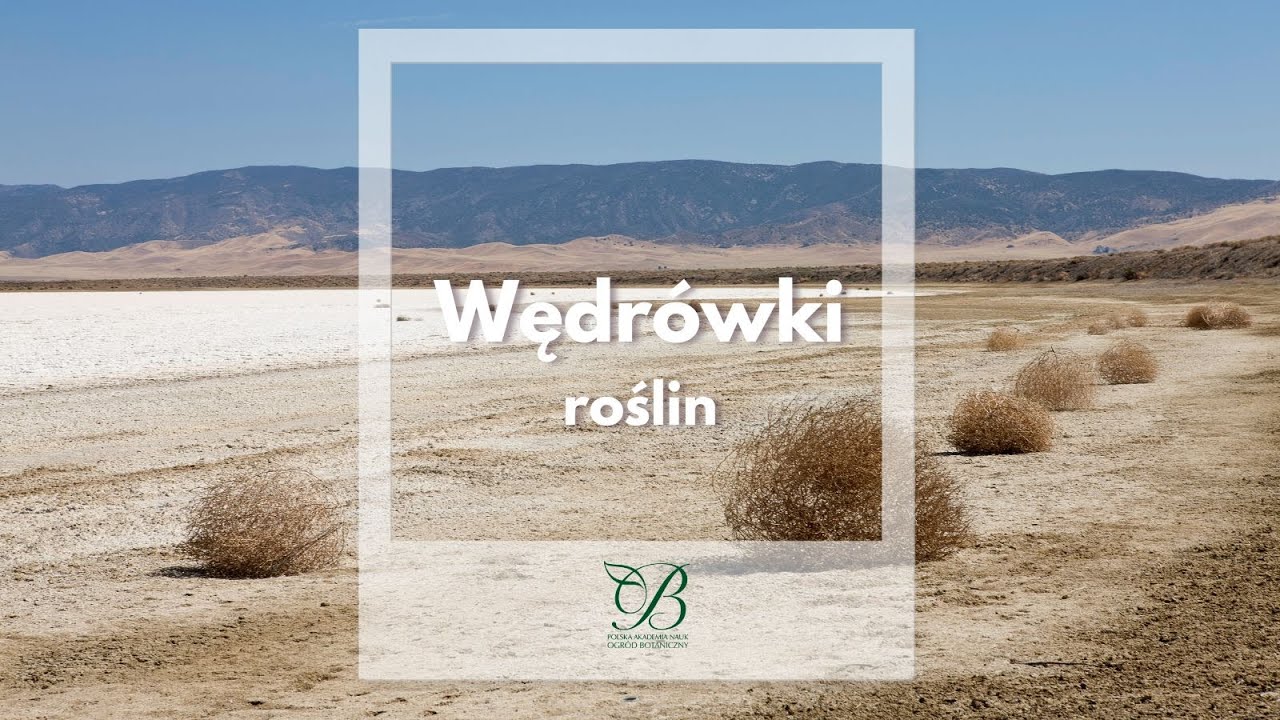 Wędrówki roślin ✿ PAN Ogród