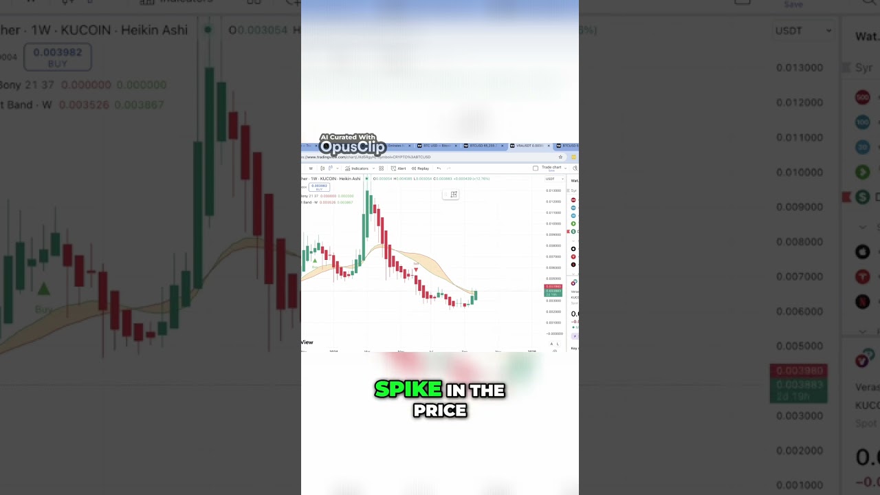 Bitcoin Bull Market Support: Target $70K and  $VRA 0.1 Beyond!