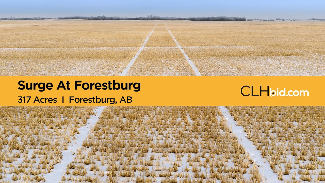 Surge At Forestburg  I  AB Farm Land For Sale  I  Forestburg, AB
