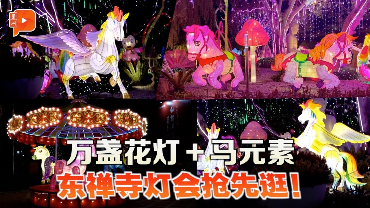 盼东禅寺灯会之美助力外宣 张念群：展露大马文化艺术多元