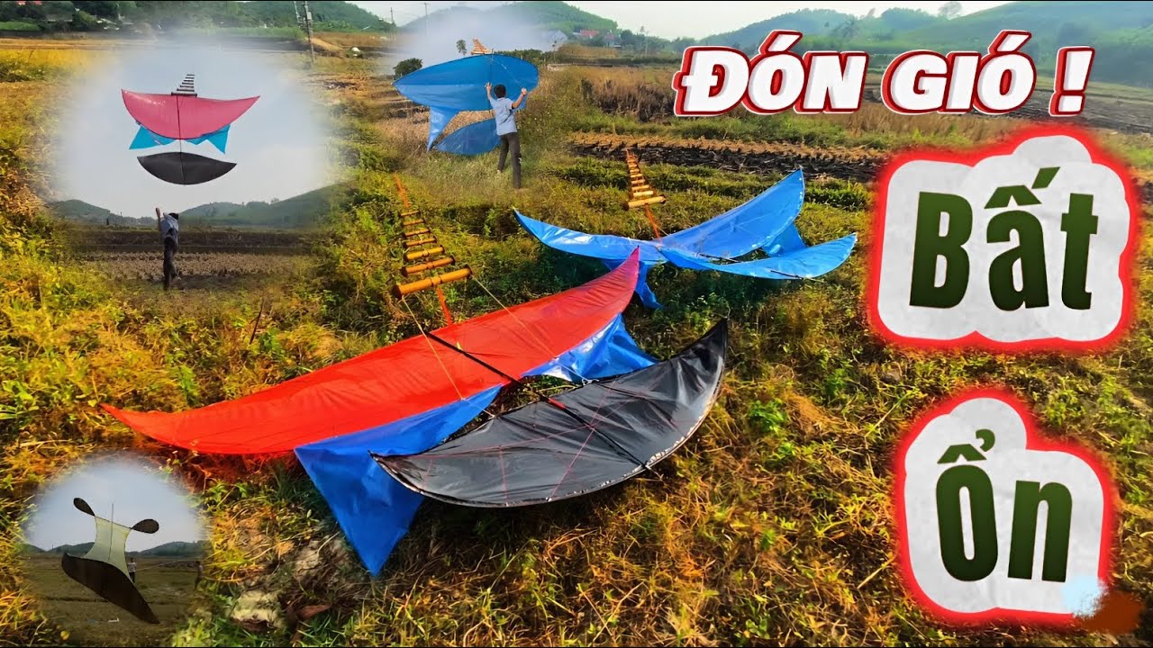 Cùng Các Em Ra Đồng Canh Gió - Hai Con Diều 3 Mét Cõng Dàn Bò Kêu Siêu Giòn | MAIL CV