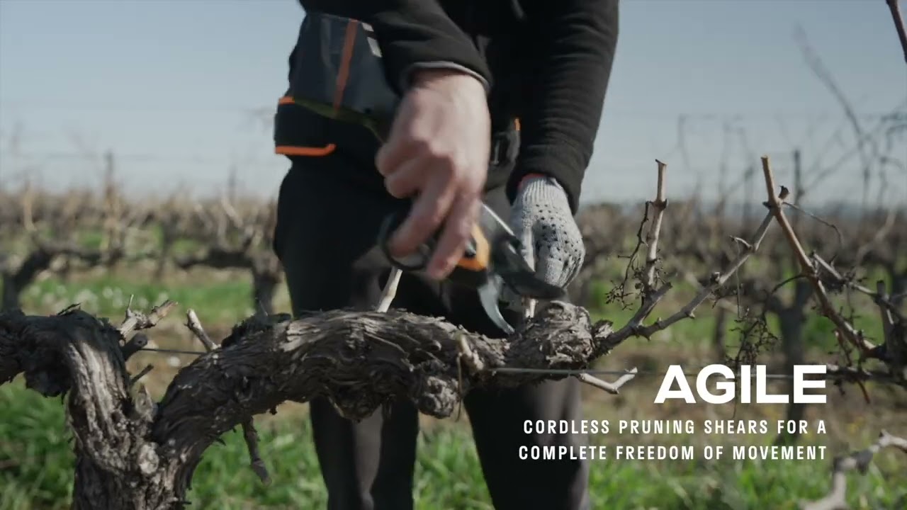 C3X, the professional pruning shears with on-board battery! | PELLENC