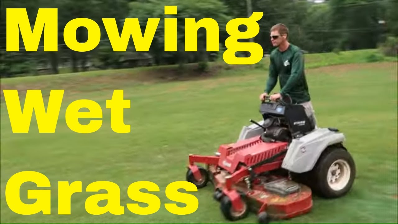 How to Cut Wet Grass - Strategy to Deal with Lawn and Customers When Raining