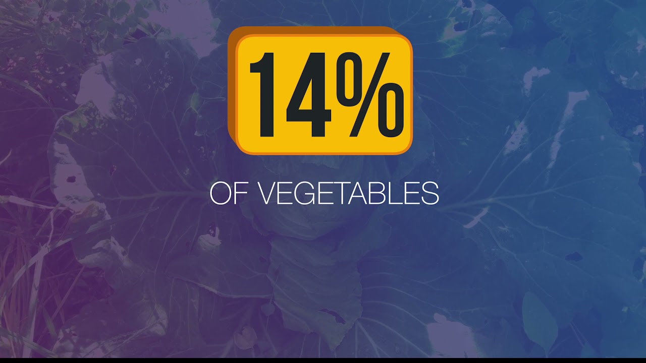 FRESH Farms: Food Risk and Safety Analysis in Agricultural Farms | Dr. Vachel Gay V. Paller