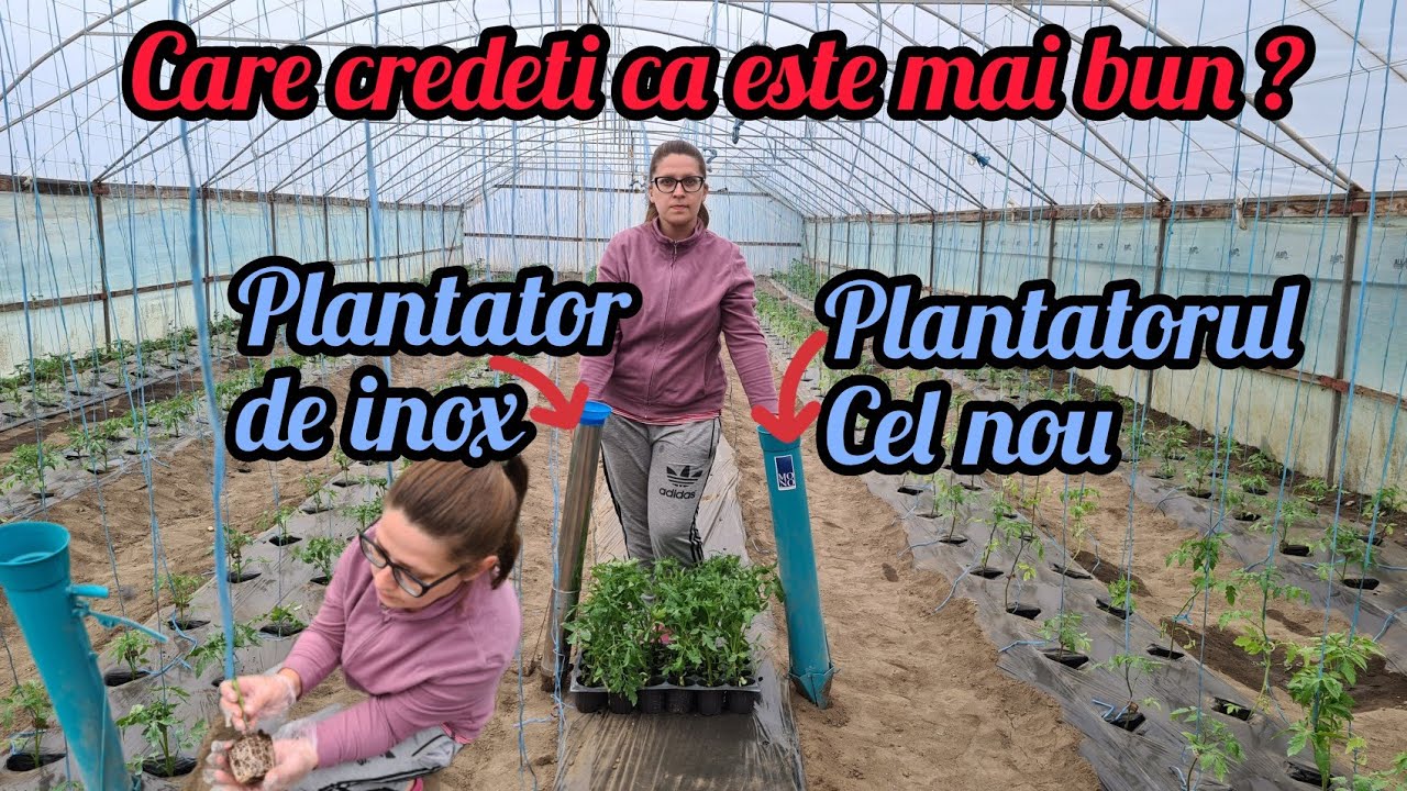 Plantam rosii in solar si va prezint doua modele de plantatoare de rasaduri not digging
