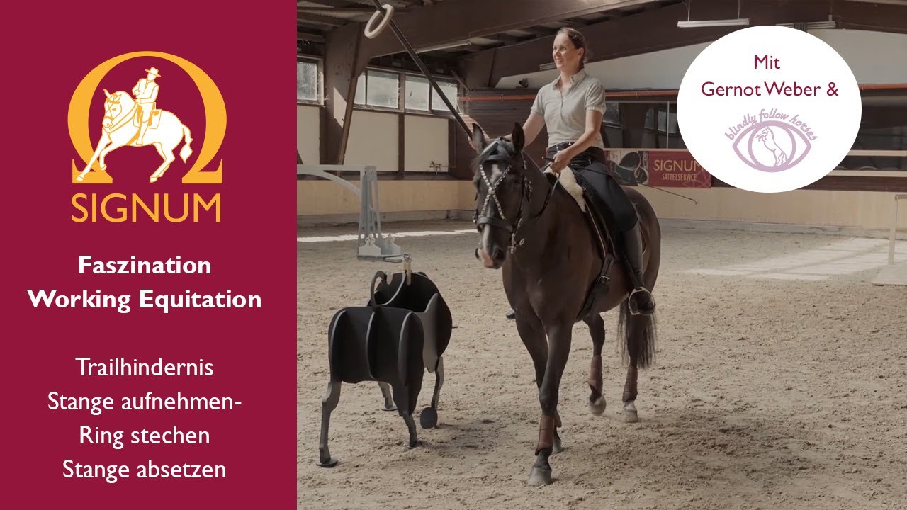 Working Equitation Trailhindernis: Garrocha aufnehmen-  Ring stechen -  absetzen in der Praxis