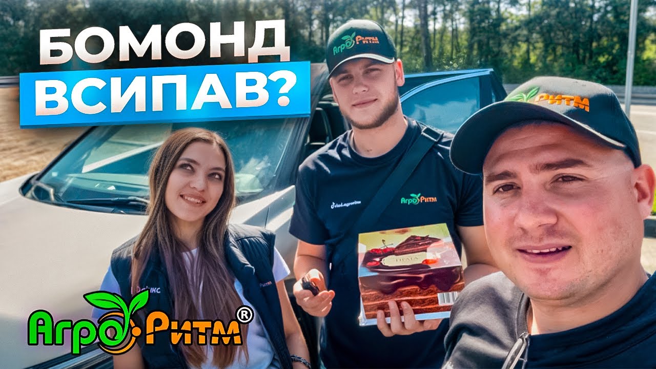 СОНЯШНИК СИПЕ...З БОМОНДОМ ВИХОДИТЬ У ВСІХ:ДОСВІДЧЕНИХ ТА ПОЧИНАЮЧИХ!