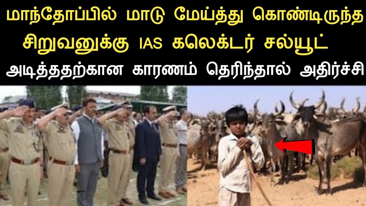 மாந்தோப்பில் மாடு மேய்த்து கொண்டிருந்த சின்ன பையனுக்கு சல்யூட் அடித்தனர் காரணம்?ninaivugal 