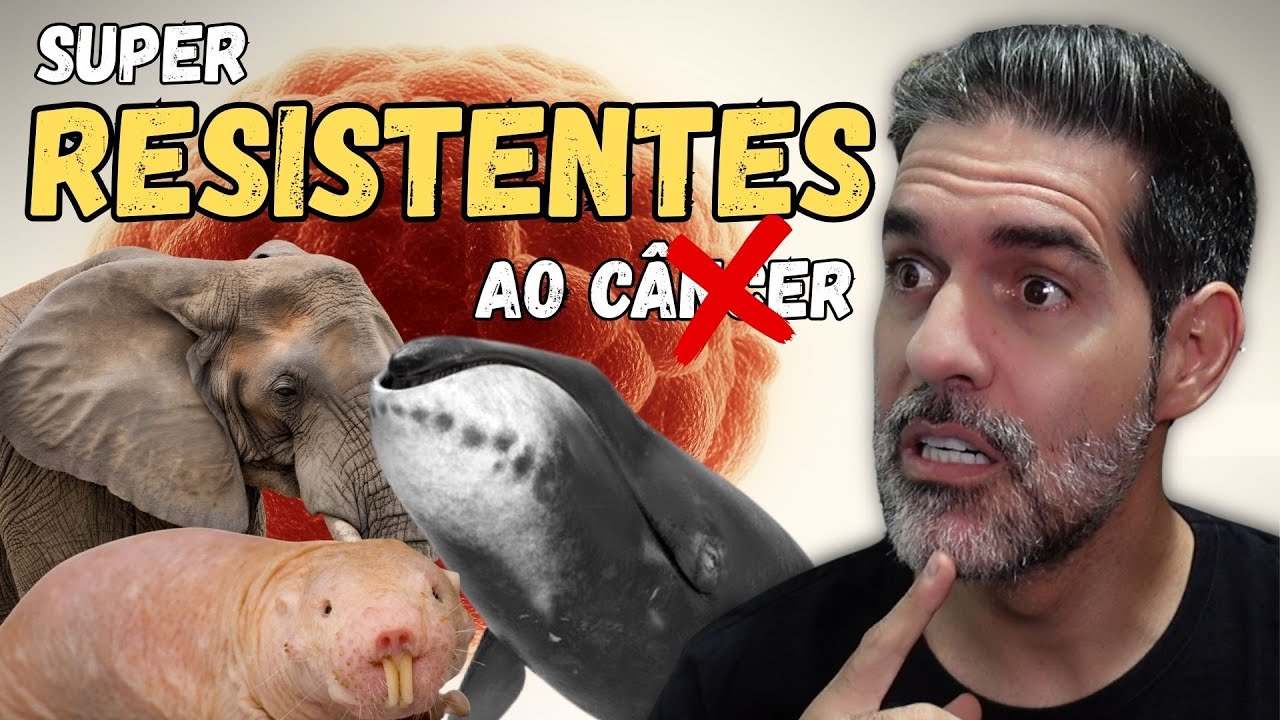 Esses animais SIMPLESMENTE não têm CÂNCER (e a ciência quer saber como)
