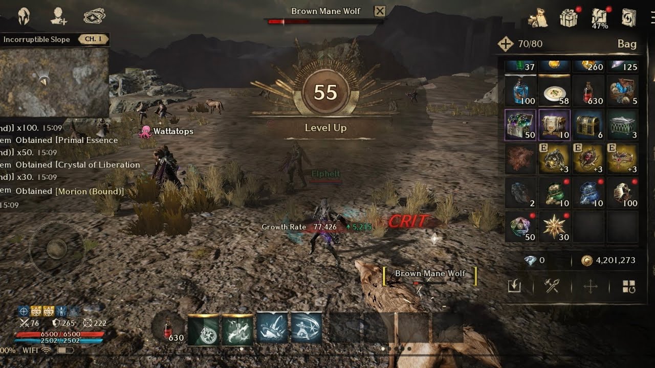Tutorial in new boosting server Lvl 55 in one day!