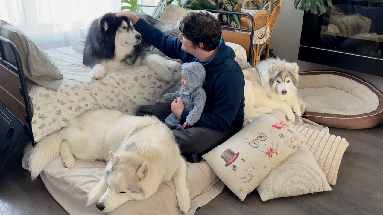 Cozy day at home with our babies