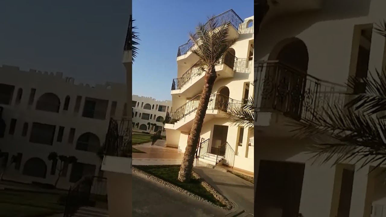 Egypt - Hotel Sun rise royal Makadi Resort - recenze