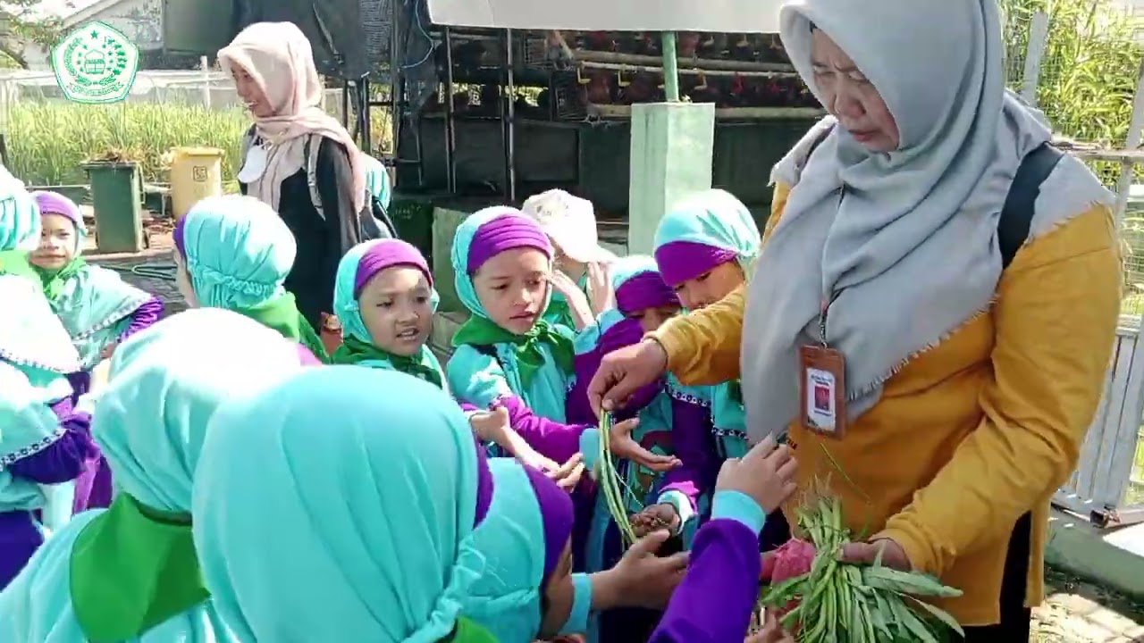 Outing Class Kelompok B | Tapel 2025-2026 | Mini Agrowisata Surabaya| Kolam renang Surya Bagus SDA