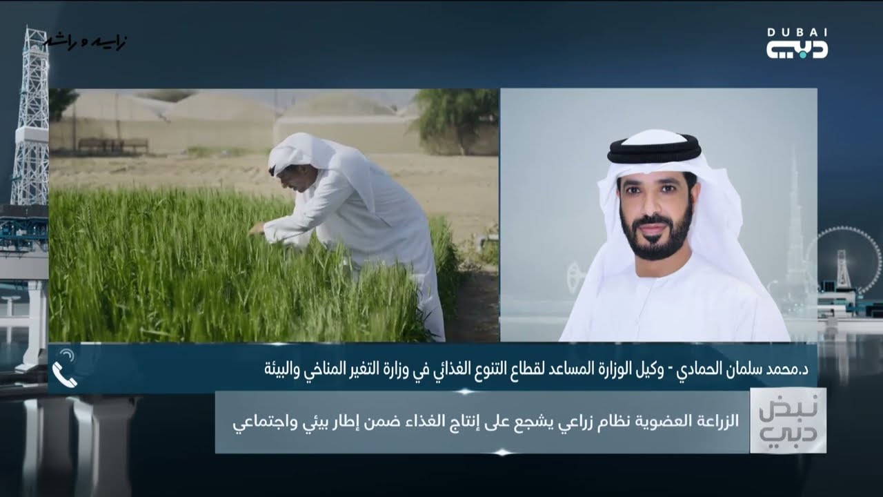 نبض دبي | اقتصاد الإمارات يحقق أعلى نسبة نمو في الخليج ومبادرة