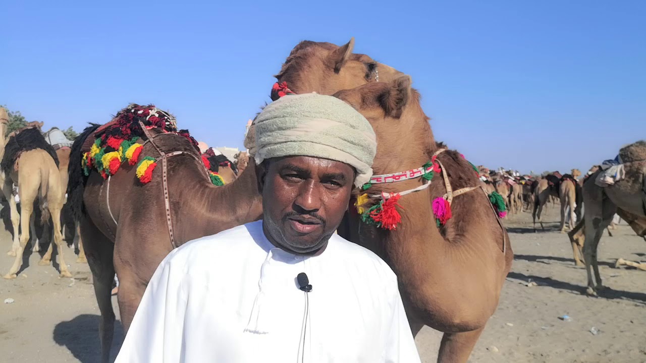 لقاء مع الفاضل خميس بن مسعود الدوار الزدجالي راعي حمراء عين الداعم لغعالية عرضة الهجن ( بالمصنعة)