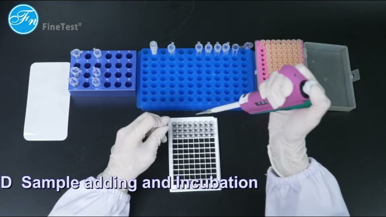 FineTest® ELISA Kit Operation Guide--Sandwich