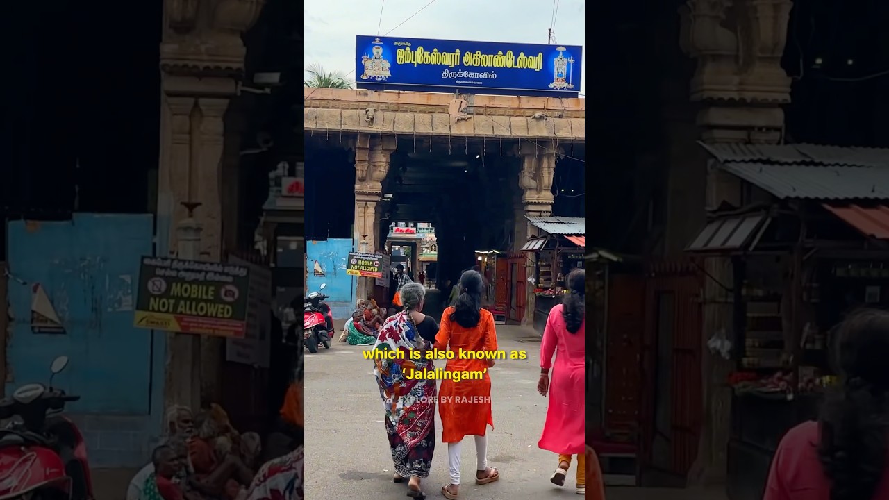 Jambukeswar Temple, Srirangam | Jala Lingam | #jambukeswarar #viralshort #ytshorts