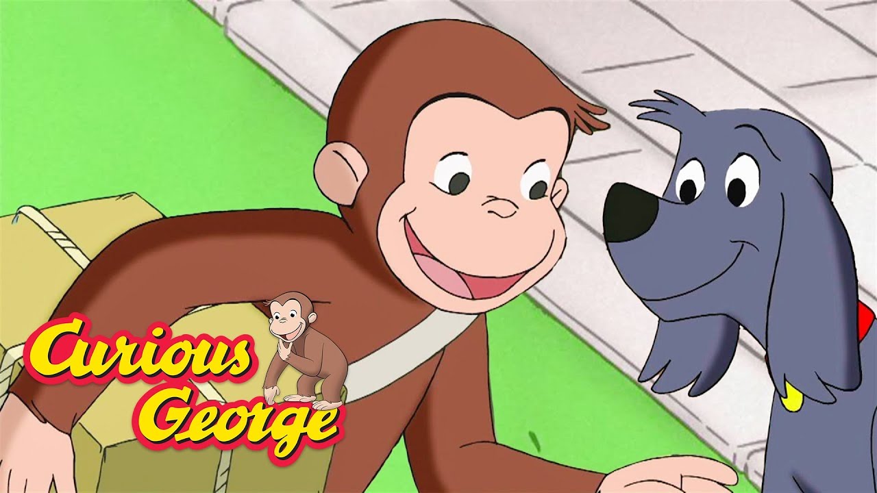 What's In the Box!? 🐵 Curious George 🐵 Kids Cartoon 🐵 Kids Movies