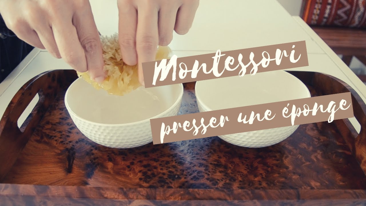 Activité Montessori | Presser une Éponge (avec Pisci le petit poisson)